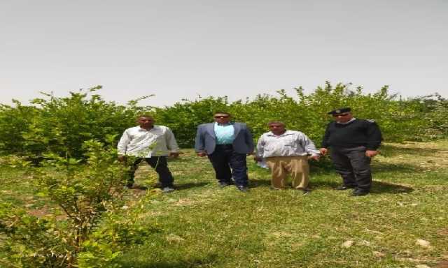 الاقصر تسترد 24 ألف متر مربع من الأراضي الزراعية المتعدى عليها بأرمنت