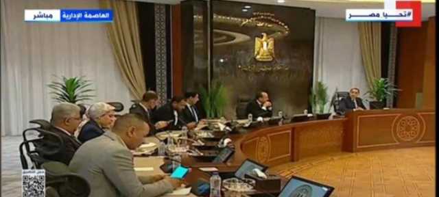 رئيس الوزراء: إضافة 1150 ميجا إلى شبكة الكهرباء استعدادا لفصل الصيف
