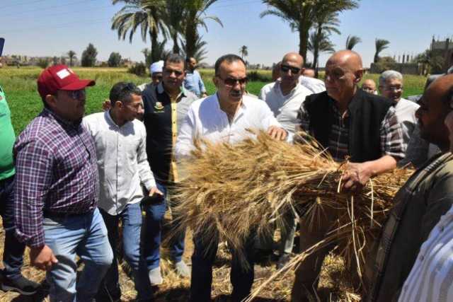 أسيوط تفتح خزائن الخير: المحافظ يشهد بدء حصاد «الذهب الأصفر» وسط فرحة عارمة