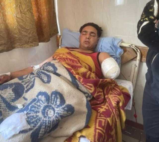 إيقاف أنشطة سيرك طنطا بعد حادث هجوم نمر مفترس وبتر ذراع مساعد مدربة الأسود