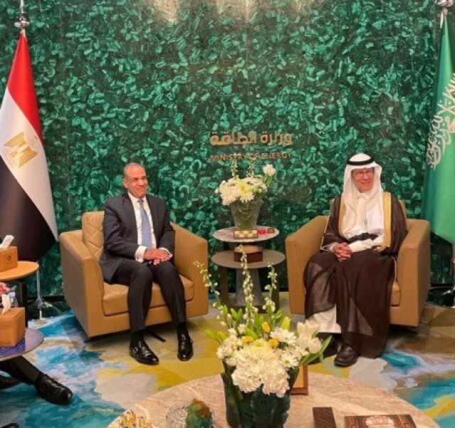 وزير الخارجية يؤكد على أهمية مشروع الربط الكهربائي بين مصر والسعودية