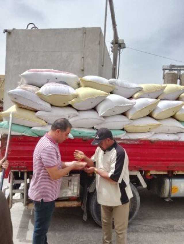 الجيزة تنجح في توريد 2000 طن قمح خلال الأسبوع الأول من موسم الحصاد