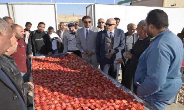 الأقصر تستعد لإطلاق صرح صناعي غذائي جديد لتجفيف الطماطم بـ «الكيمان»