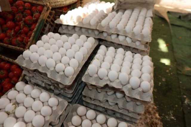 بمناسبة الربيع وشم النسيم.. محافظ المنيا يطرح البيض بـ120 جنيهاً في منافذ البيع