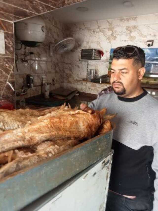 ضبط 3.5 طن أسماك ولحوم ودواجن فاسدة قبل شم النسيم في الجيزة