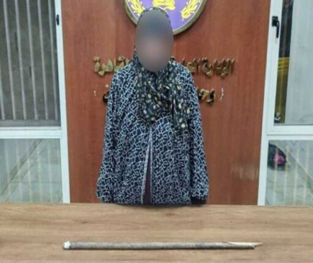 بسبب عقر طفل.. ملابسات تعدي سيدة على «كلب» في عابدين