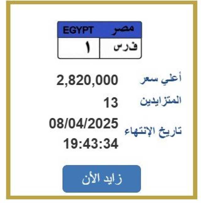 وصل سعرها 3 ملايين جنيه.. مزاد ناري على لوحة أرقام «فرس 1»