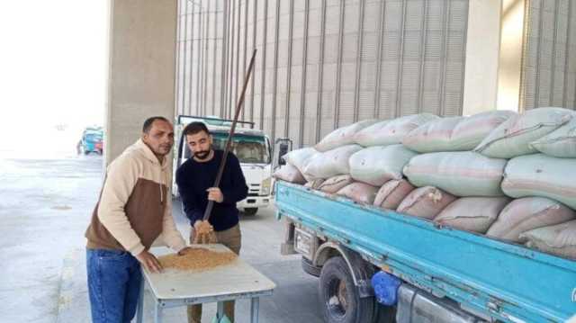 المنيا تحقق رقمًا قياسيًا في توريد القمح.. استقبال 182 ألف طن حتى الآن