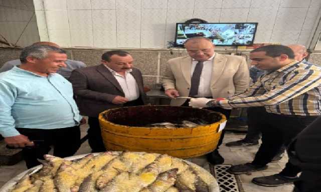 ضبط 20 طن رنجة وسمك غير صالح للاستهلاك الآدمي بالشرقية