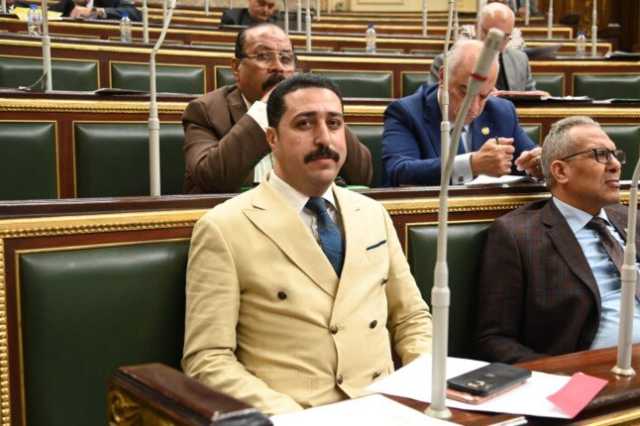 برلماني: زيارة الرئيس الفرنسي للقاهرة تأتي في توقيت بالغ الأهمية