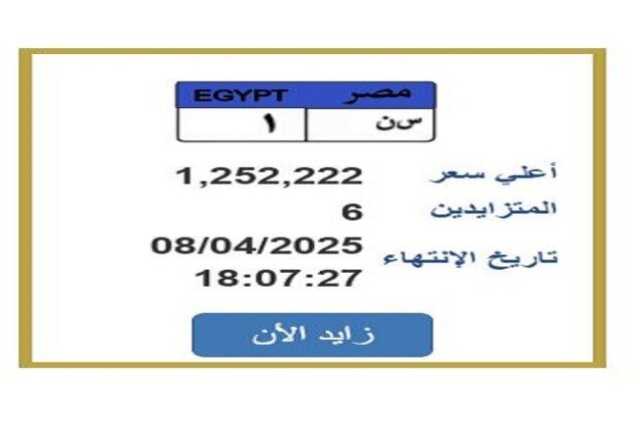 سعرها تخطى المليون جنيه.. التزايد يشتعل على لوحة سيارة مميزة