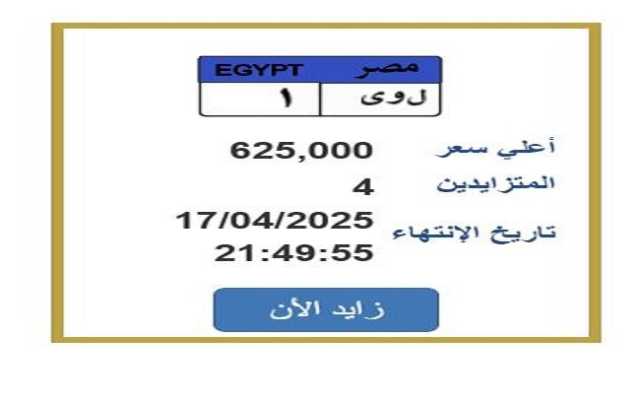 «سعرها تخطى 600 ألف».. اشتعال المنافسة على لوحة سيارة مميزة