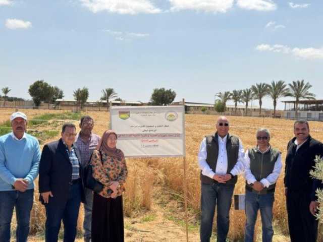 عيد تحرير سيناء 2025.. طفرة زراعية وتنموبة شاملة تشهدها أرض الفيروز