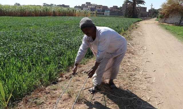 تيار كهربائي بلا أعمدة.. أخطار تهدد حياة الأهالي في عزبة الخليلي بأرمنت