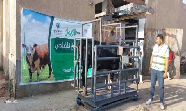 إطلاق 4 أنواع من صكوك الأضاحي لدعم الأسر الأولى بالرعاية في الفيوم