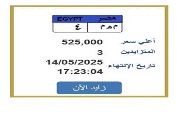 سعرها وصل لـ 525 ألف جنيه.. مزايدة نارية على لوحة سيارة مميزة