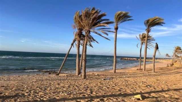 برلماني: سيناء قاطرة التنمية وحجم الاستثمارات غير مسبوق