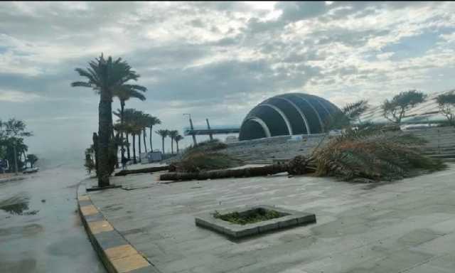 رصد 48 تجمعًا لمياه الأمطار.. غرفة عمليات الإسكندرية تكشف عن حجم الخسائر بعد موجة طقس عنيف شهدتها المحافظة