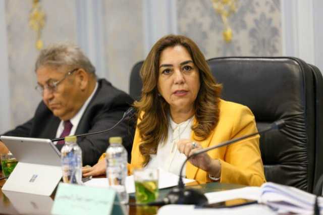 وزيرة التنمية: نولي اهتماماً كبيراً لتشجيع الاستثمار ودعم دور القطاع الخاص