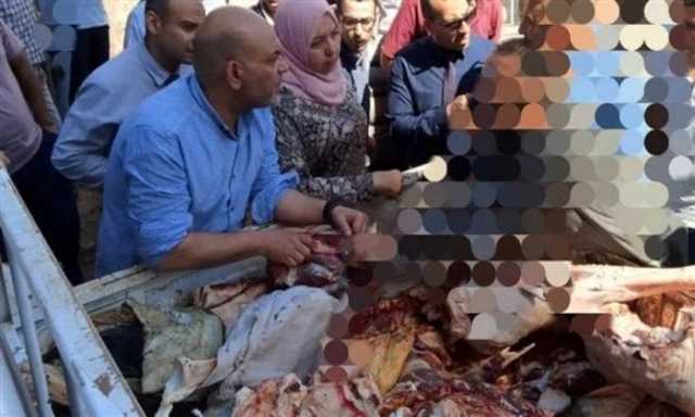 ضبط نصف طن لحوم غير صالحة للاستهلاك في المنوفية