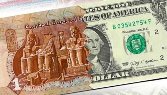 الجنيه المصري يرتفع أمام الدولار 3% في 40 يوما.. تعرف على الأسباب