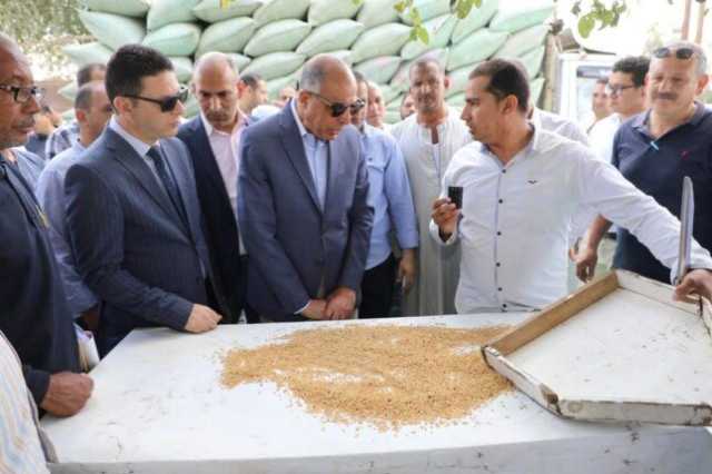 «ذهب المنيا».. المحافظ يتابع حصاد الخير ويؤكد: 120 ألف طن قمح حتى الآن