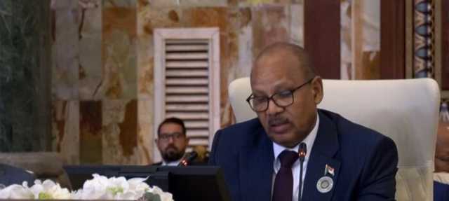 نائب رئيس مجلس السيادة السوداني: قوات الدعم السريع تستهدف كل مكتسبات الشعب