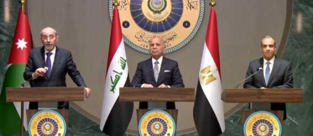وزير الخارجية: الرئيس السيسي يقود جهودًا دبلوماسية لوقف العدوان على غزة وإيصال المساعدات