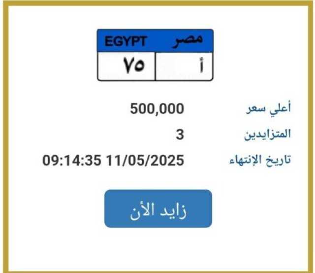 وصلت لـ 500 ألف جنيه.. 'المرور' تطرح التزايد على لوحة سيارة مميزة