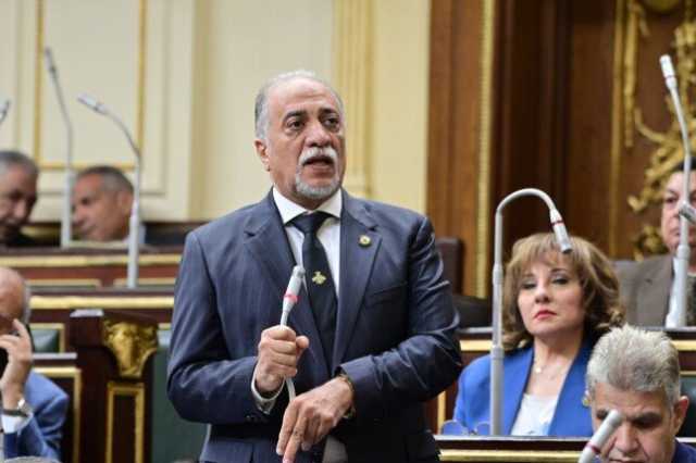 رئيس «برلمانية مستقبل وطن» يوافق مبدئيا على قانون الحوافز والعلاوات