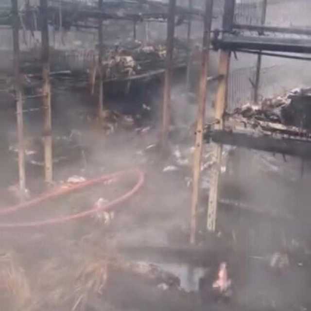 ماس كهربائي يحرق حظيرة دواجن بالمنيا.. نفوق 2000 فرخ ويتلف طن علف