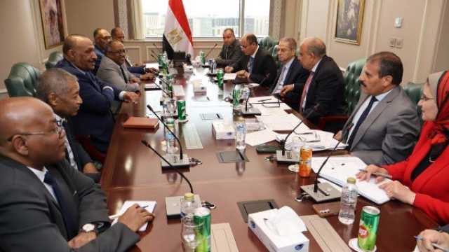وزير الكهرباء ووزير النفط السوداني يبحثان إعادة تأهيل الشبكة الكهربائية بالسودان