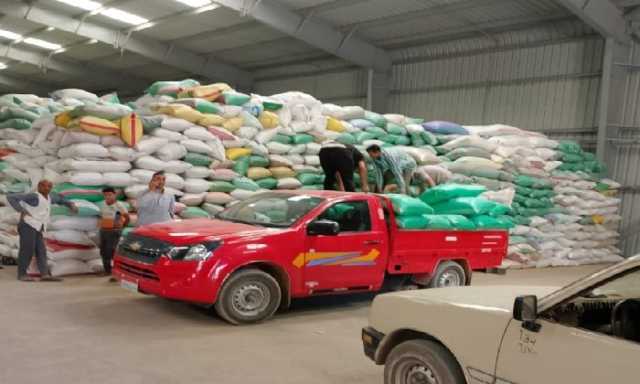 حصاد الخير.. توريد 221 ألف طن قمح لشون وصوامع البحيرة
