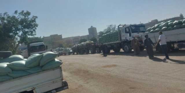 توريد أكثر من 153 ألف طن قمح محلي حتى الآن بأسيوط