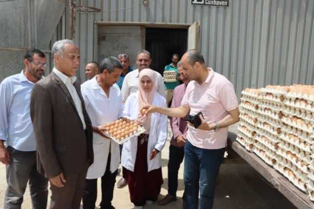 سكرتير عام مساعد بني سويف يتفقد مزارع الدواجن المركزية: تأمين الغذاء وتخفيف الأعباء