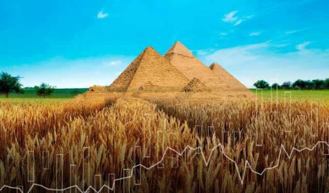التموين: مناقشات مع بلغاريا على مقايضة القمح بالفاكهة والخضراوات