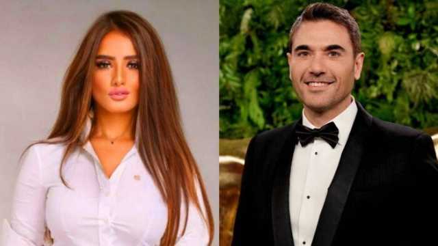 موعد أولى جلسات استئناف زينة على حكم إلزام أحمد عز بدفع 80 ألف جنيه شهريا