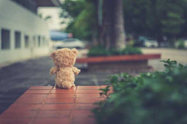 تجنب العزلة.. العلاقات الاجتماعية تؤثر إيجابيًا على صحتك وتطيل العمر