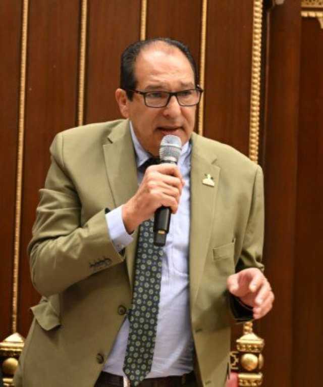 «برلمانية مستقبل وطن بالشيوخ»: تعديلات قانون الانتخابات عادلة
