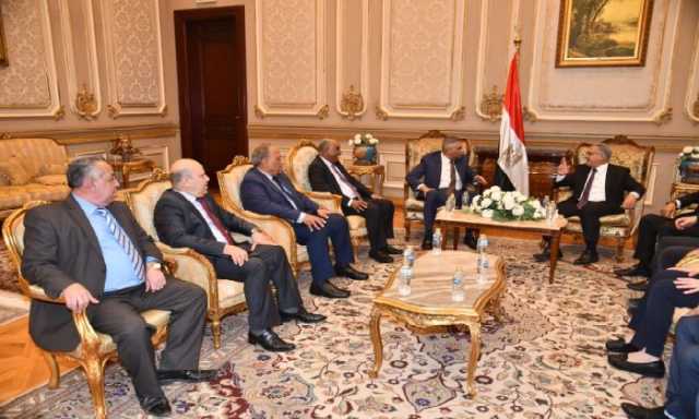 محافظ أسوان يستعرض أمام «محلية النواب» خطط إنهاء المشروعات وتحسين جودة الحياة