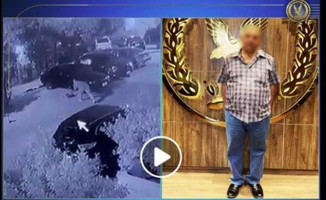 ضربه بعصا حتى الموت.. ضبط مسجل تعدى على كلب في النزهة