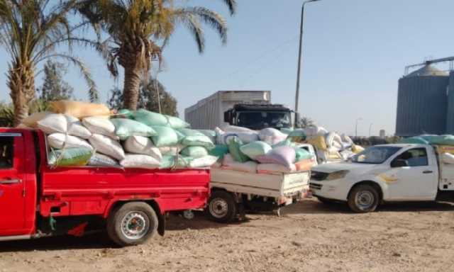 توريد 261 ألف طن قمح لشون وصوامع البحيرة