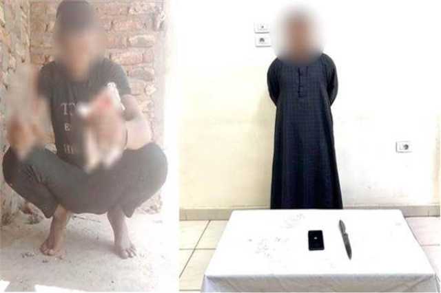 ضبط المتهم بالتعدي على «قطة» بسلاح أبيض في الأقصر