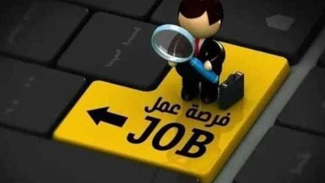 فرص عمل متنوعة في مصر.. التقديم للوظائف الجديدة متاح الآن