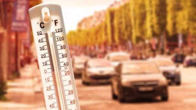 حالة الطقس غدًا في مصر.. حار نهارًا ورياح وشبورة على هذه المناطق