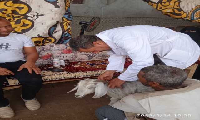 مستقبل وطن ينظم قافلة بيطرية بمركز الوقف لخدمة المزارعين والمربين