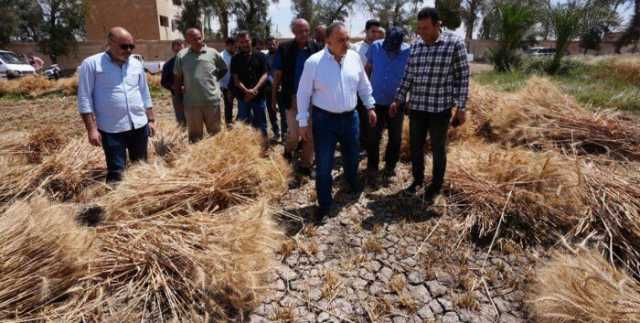 توريد أكثر من 46 ألف طن قمح بأسيوط وتيسيرات كبيرة للمزارعين لدعم الأمن الغذائي