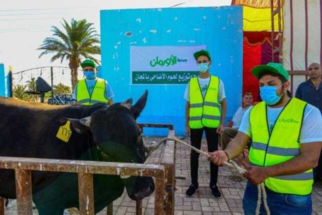الاستعداد لذبح 30 عجل بلدى خلال أيام التشريق فى 3 مجازر بقنا