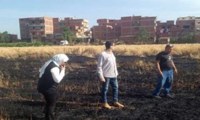 السيطرة على حريق محصول قمح بعزبة المعلم بالمنوفية