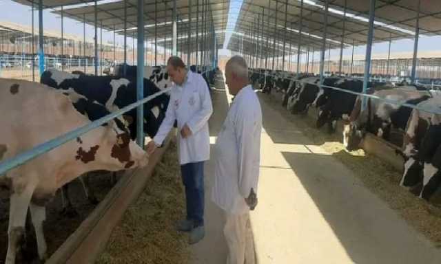 لتدشين المرحلة الثانية من المبادرة الرئاسية'احلم'.. .وزير الزراعة فى جولة بمزرعة ومصنع هيلثي بالشرقية اليوم